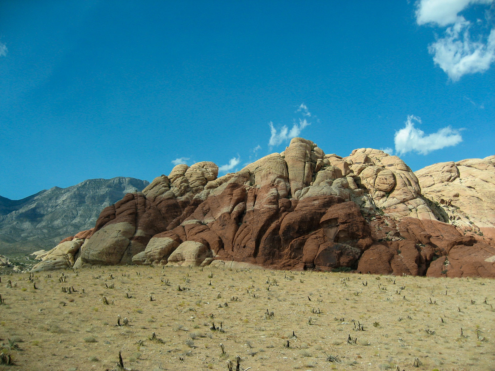 11 USA 2008 fabien et leslie 1369